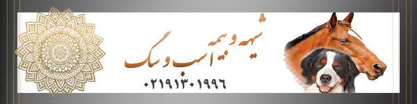 اینجا محل تبلیغ شماست