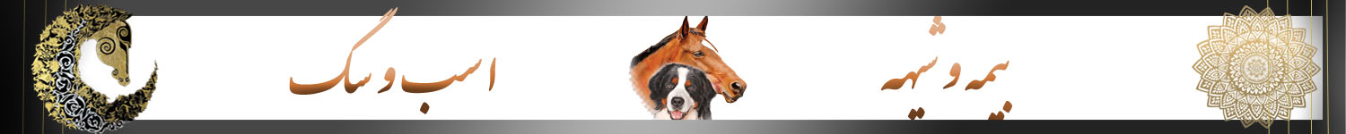 اینجا محل تبلیغ شماست