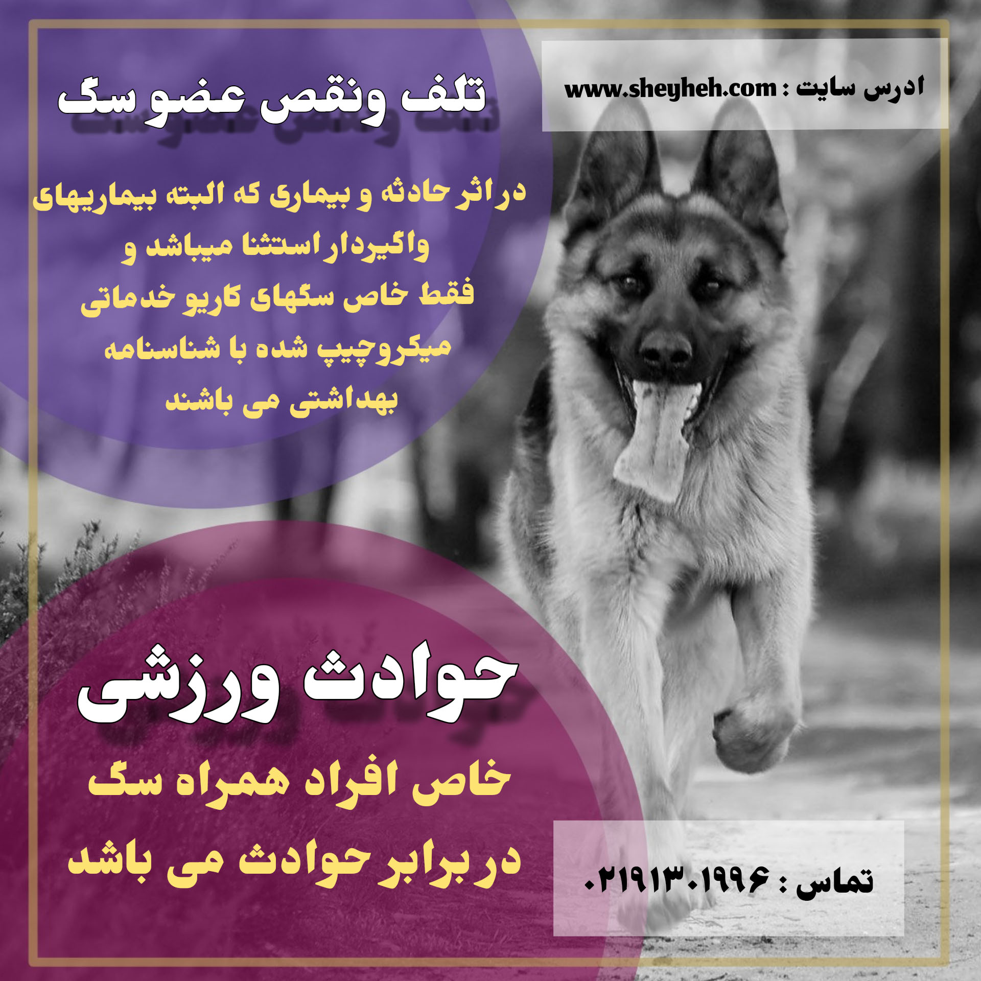 اینجا محل تبلیغ شماست