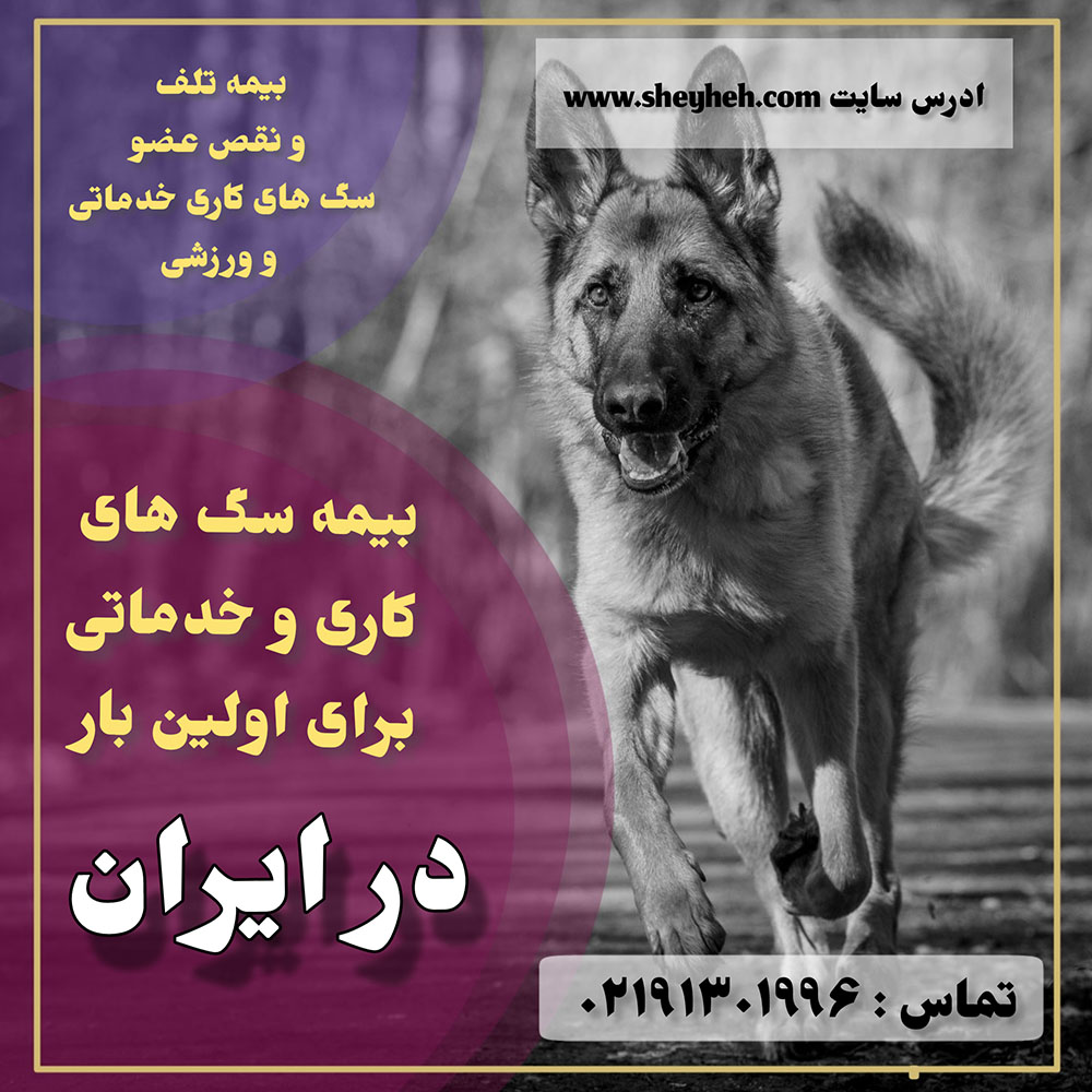 اینجا محل تبلیغ شماست